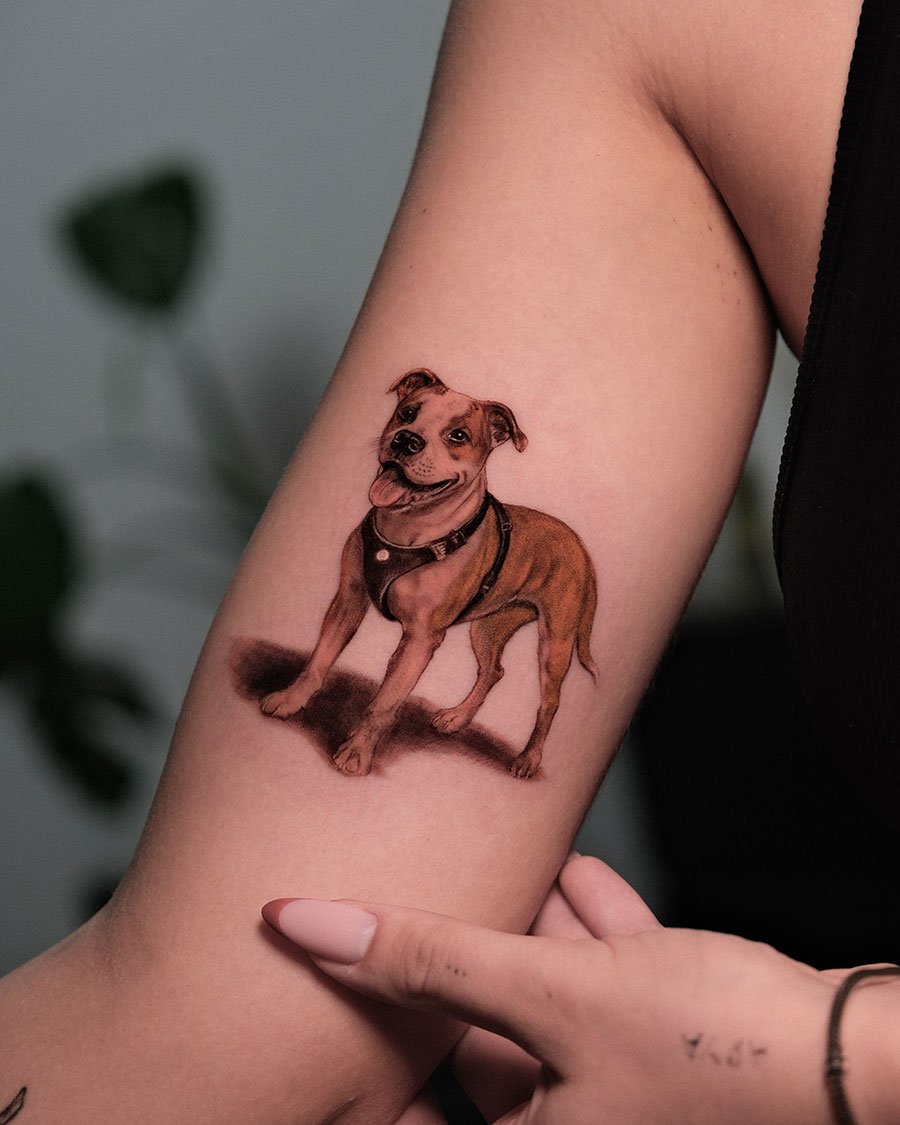 Mehmet Ali Yatkın Portfolio